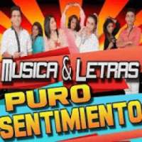 Puro Sentimiento Musica Cumbia Peruana 2018
