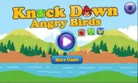 Knock Down Angry Bird Screen Shot 5