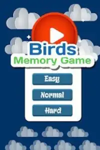 Birds Memory Game Screen Shot 0