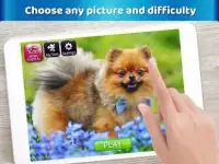 * Dog Jigsaw Puzzles - Free Puzzle games Screen Shot 1