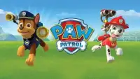 Paw Patrol Run Adventure Screen Shot 0
