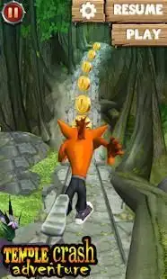 Temple Crash Jungle Run Adventure Screen Shot 1