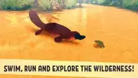 Funny Animal Platypus Simulator Screen Shot 2