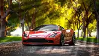 Sport Cars Wallpapers & Puzzle Screen Shot 3