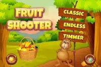 Fruit Shooter Screen Shot 14
