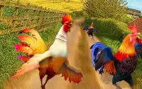 Angry Deadly Rooster Farms Run Rush Screen Shot 9