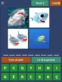 4 pics 1 fjalë Screen Shot 6