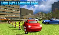 Car Parking Car Driving Sim 3D Screen Shot 3