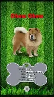 Puppy Dogs GO! Pocket Edition Screen Shot 2