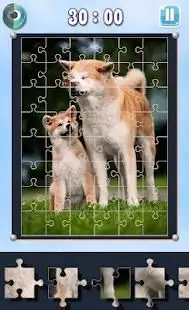 Jigsaw Puzzle - Offline Picture Puzzles Screen Shot 1