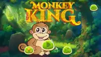 The King Monkey Adventure Screen Shot 1