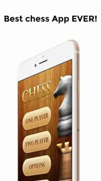 Chess App Free Screen Shot 2