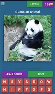 1 Pic 1 Word Animals Quiz Screen Shot 2