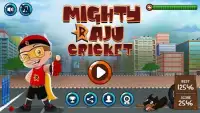 Mighty Raju Cricket Screen Shot 5