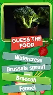 Guess The Food Quiz Games Free - Food Trivia Games Screen Shot 3