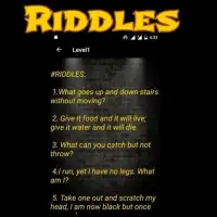 Pocket Riddles Screen Shot 0