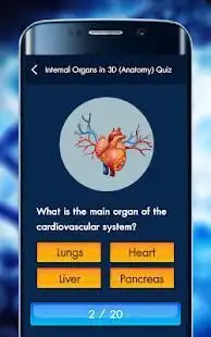 Internal Organs in 3D (Anatomy) Quiz Screen Shot 0