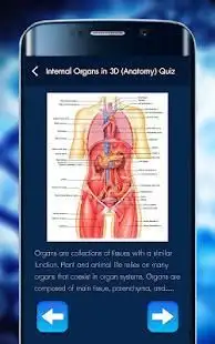 Internal Organs in 3D (Anatomy) Quiz Screen Shot 2