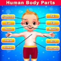 Body Parts for Kids - Human Body Parts