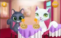 kitty pet care (Cat Day Care & Fun) Screen Shot 0