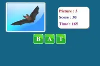 Birds Spelling Game Screen Shot 3