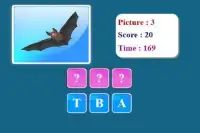 Birds Spelling Game Screen Shot 4