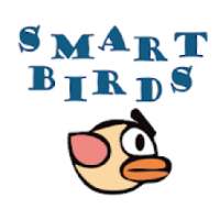 Smart Birds