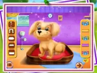 Puppy Dog Love - Dream Pet DayCare & Salon Screen Shot 1