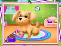 Puppy Dog Love - Dream Pet DayCare & Salon Screen Shot 0