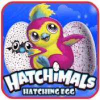 Hatchimals Hatching Lol Surprise Egg adventure