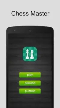 Chess Master Screen Shot 0