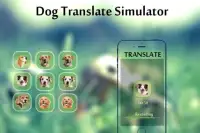 Dog Translator Simulator Screen Shot 1