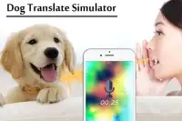 Dog Translator Simulator Screen Shot 3
