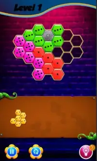 Domino Hexagon Puzzle Screen Shot 2
