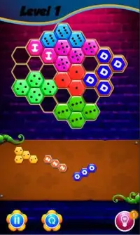 Domino Hexagon Puzzle Screen Shot 1