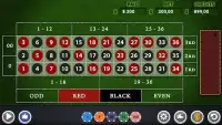 Roulette Casino Screen Shot 2