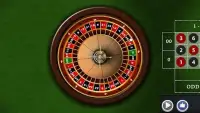 Roulette Casino Screen Shot 0