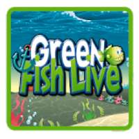 Green Fish Live - Game Ikan Seru