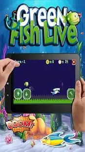 Green Fish Live - Game Ikan Seru Screen Shot 2