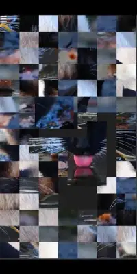 Cats Puzzle With Purring Screen Shot 3