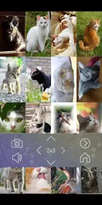 Cats Puzzle With Purring Screen Shot 2