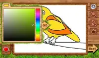 Birds Coloring - Coloring games for kids Screen Shot 5