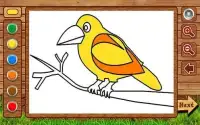 Birds Coloring - Coloring games for kids Screen Shot 10