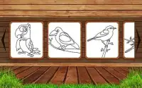 Birds Coloring - Coloring games for kids Screen Shot 12