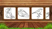 Birds Coloring - Coloring games for kids Screen Shot 24