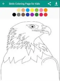 Birds Coloring Page for Kids Screen Shot 3