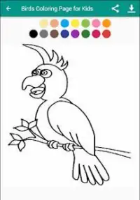 Birds Coloring Page for Kids Screen Shot 2