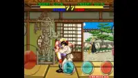 Martial Arts fighters Screen Shot 0
