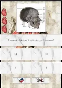 L'Anatomista il quiz Italiano di anatomia Screen Shot 0