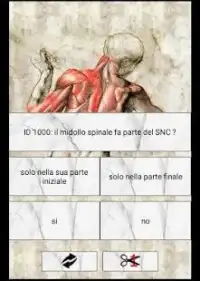 L'Anatomista il quiz Italiano di anatomia Screen Shot 2